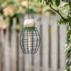 LONA Peanut Butter Feeder Guardian V1, Oval -Bird Supplies Store 310480119 lona feeding cage v1 oval angy low res 0851