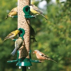 National Trust 6 Port Metal Seed Feeder 8 National Trust 6 Port Metal Seed Feeder -Bird Supplies Store 31050 1