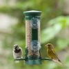 Discovery Plastic Window Seed Feeder -Bird Supplies Store 31067 window feeder