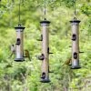 Apollo Bird Seed Feeder Range 1 Apollo Bird Seed Feeder Range -Bird Supplies Store 310950119 310960119 31090119 jvg 6409 4