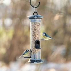 Apollo Bird Seed Feeder Range -Bird Supplies Store 310950119 5