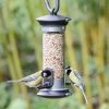 National Trust Apollo 2 Port Bird Seed Feeder -Bird Supplies Store 31098