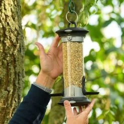 National Trust Apollo 2 Port Bird Seed Feeder -Bird Supplies Store 310980119 4