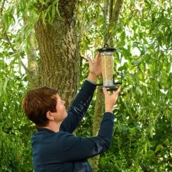 National Trust Apollo 2 Port Bird Seed Feeder -Bird Supplies Store 310980119 5