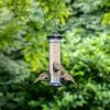 National Trust Apollo 4 Port Bird Seed Feeder -Bird Supplies Store 310990119 110610125 jvg 8152