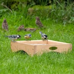 Kandava Ground Bird Feeding Table -Bird Supplies Store 311030119 qm 4179