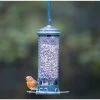 Squirrel Buster Mini Seed Feeder -Bird Supplies Store 31106 3