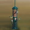 Squirrel Buster Peanut Feeder -Bird Supplies Store 31109 jordn tsautomat ekorrbuster 1