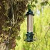 Squirrel Buster PLUS Seed Feeder -Bird Supplies Store 311110111 4