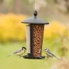 Edessa Multi Bird Feeder -Bird Supplies Store 31306