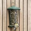 Delta Seed And Mealworm Bird Feeder Green -Bird Supplies Store 31310 02 1
