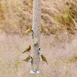 Conqueror XXL 10 Port Seed Feeder -Bird Supplies Store 33010a