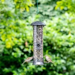 Adventurer 4 Port Seed Feeder