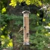 Adventurer 6 Port Seed Feeder -Bird Supplies Store 330230119 voedersilo adventurer 55 cm qm 6068 1