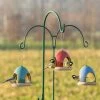 Vierno Tavern Bird Seed Feeder -Bird Supplies Store 34343 34344 34345 2