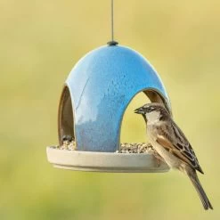 National Trust Vierno Tavern Bird Seed Feeder (Blue) -Bird Supplies Store 34345 2