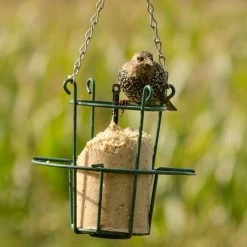 Metal Peanut Cake Feeder -Bird Supplies Store 35000 10043 energiekuchen halter energiekuchen stare 2