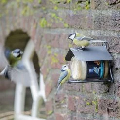 Wicklow Peanut Butter Feeder -Bird Supplies Store 35025 2