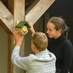 National Trust Dublin Peanut Butter Feeder -Bird Supplies Store 350260121 5