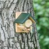 National Trust Dublin Peanut Butter Feeder -Bird Supplies Store 350260121 peanut butter holder wood qm 1374