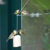 BirdSwing Window Peanut Cake Feeder 2 BirdSwing Window Peanut Cake Feeder -Bird Supplies Store 350451