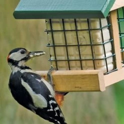 Pasadena Peanut Cake Square Feeder -Bird Supplies Store 35054 2