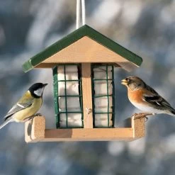 Pasadena Peanut Cake Square Feeder -Bird Supplies Store 35054 3