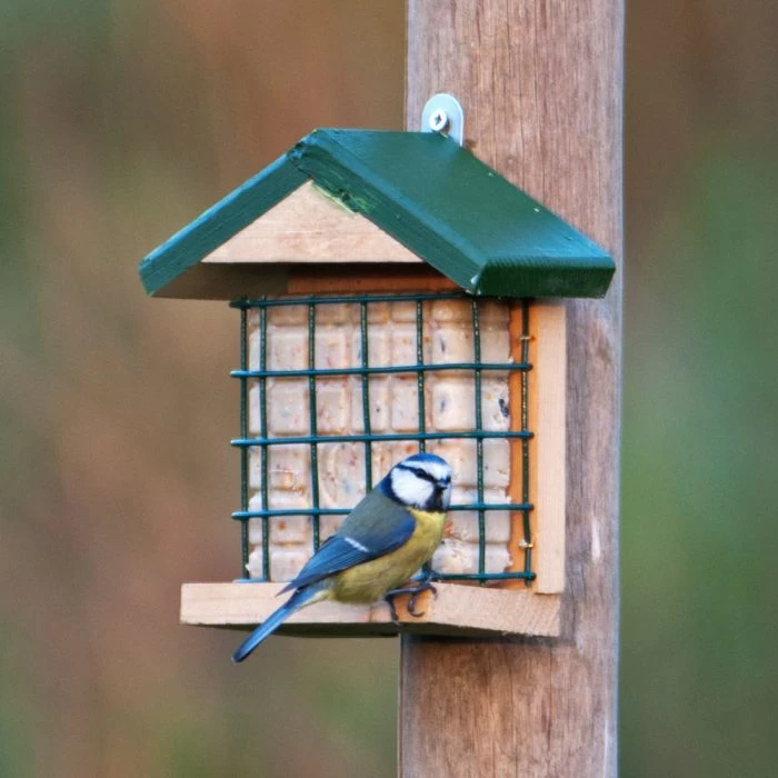 Wolga Peanut Cake Feeder 4 Wolga Peanut Cake Feeder - Image 2