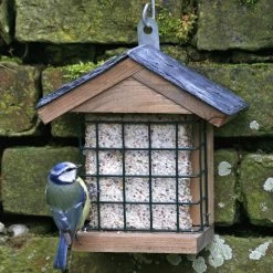 Ohio Slate Peanut Cake Square Bird Feeder -Bird Supplies Store 35079