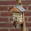 Ohio Slate Peanut Cake Square Bird Feeder -Bird Supplies Store 35079 wand energieblockhalter ohio schieferdach