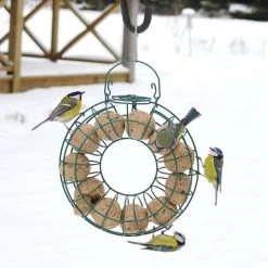 Fat Ball Feeding Ring -Bird Supplies Store 35092 2 2 1