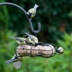 Star Fat Ball Bird Feeder -Bird Supplies Store 35101 2 1