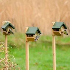 Pole Mounted Dublin Peanut Butter Feeder -Bird Supplies Store 35103 35104 2 2 2