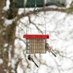 Sydney Peanut Cake Feeder -Bird Supplies Store 351370120 5