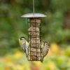 Adelaide Metal Fat Ball Bird Feeder -Bird Supplies Store 35143 02