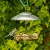 Bunbury Silver Fat Ball And Peanut Butter Bar Bird Feeder -Bird Supplies Store 35156 5
