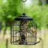 Brussels Seed Bird Feeder Guardian Pack -Bird Supplies Store 351580119 04
