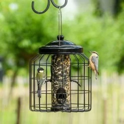Brussels Bird Feeder Guardians - Bundle Of 3 -Bird Supplies Store 351580119 qpa dsc8692