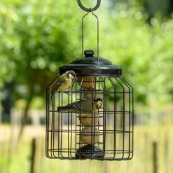 Brussels Fat Ball Bird Feeder Guardian Pack -Bird Supplies Store 351590119 03