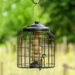 Brussels Bird Feeder Guardians - Bundle Of 3 -Bird Supplies Store 351590119 04 1