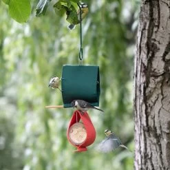 Malibu Peanut Butter Jar Holder Bird Feeder 17 Malibu Peanut Butter Jar Holder Bird Feeder -Bird Supplies Store 35175 35176 qm 1654 1