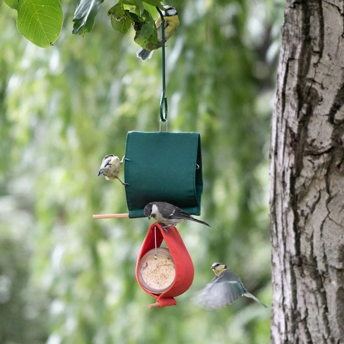 Malibu Peanut Butter Jar Holder Bird Feeder 5 Malibu Peanut Butter Jar Holder Bird Feeder - Image 3