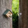 Cork Peanut Butter Wall Feeder -Bird Supplies Store 351890119 cork peanut butter wall feeder sw low res 0600