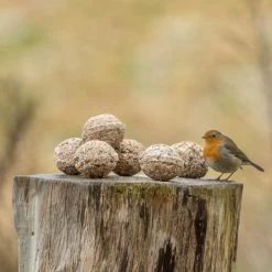 Organic Fat Balls - 6 Pack