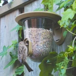 SingingFriend FeedR Bird Seed Feeder -Bird Supplies Store 37001 04 1