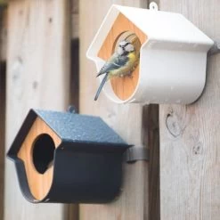 SingingFriend Evie Peanut Butter Bird Feeder