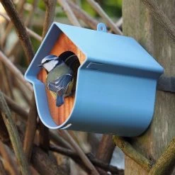 SingingFriend Evie Peanut Butter Bird Feeder -Bird Supplies Store 37009 1