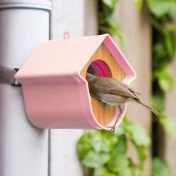 SingingFriend Evie Peanut Butter Bird Feeder -Bird Supplies Store 37010 04 1