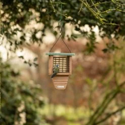 National Trust Peanut Cake Squares - Bundle Of 3 -Bird Supplies Store 37030