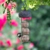 Acorn Fat Ball Bird Feeder -Bird Supplies Store 675440119 qm 7440